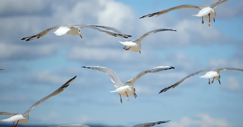 Que faire sur ces plages sauvages, au-delà du farniente