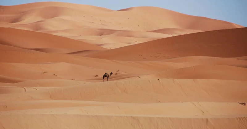 Les produits du terroir marocain à glisser dans la valise
