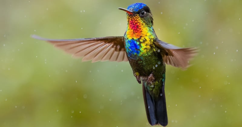 Voyage écoresponsable au Costa Rica en famille : l'aventure verte